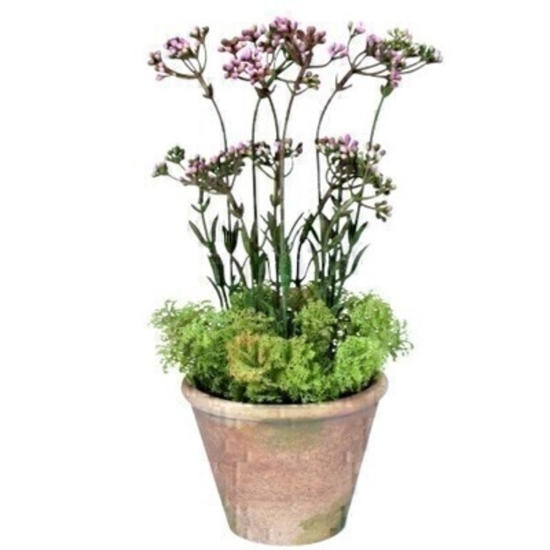 A realistic faux pink wax flower plant in pot. Perfect for your home or bathroom.  Made by designer Gisela Graham. Size: 35x13x13cm